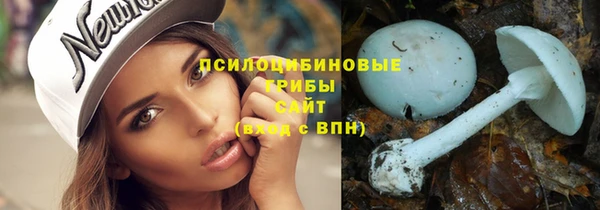 трава Абаза