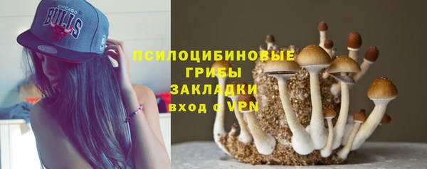 mdpv Осташков