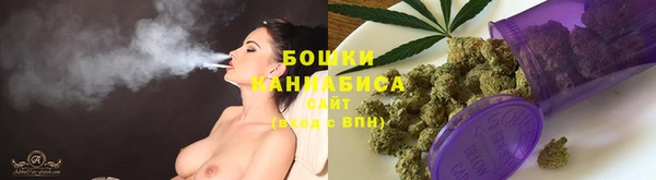 трава Абаза