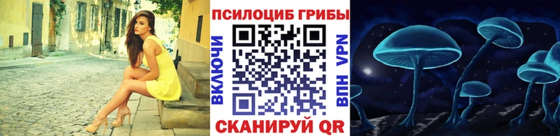Галлюциногенные грибы Psilocybe  Якутск 